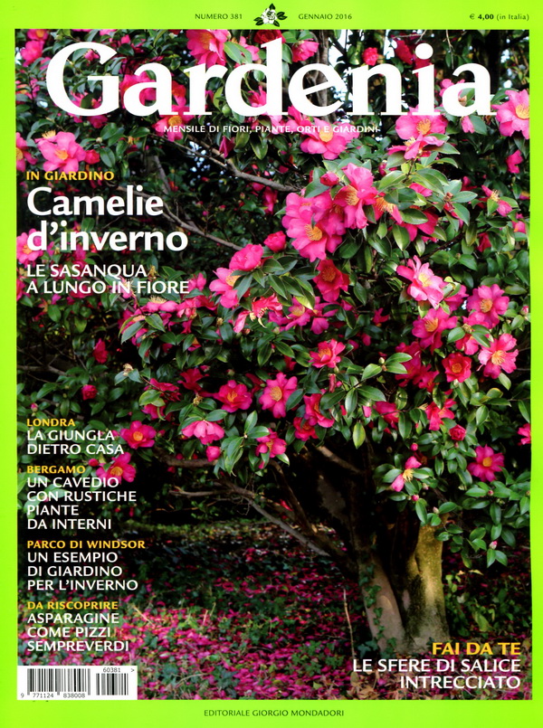 Gardenia